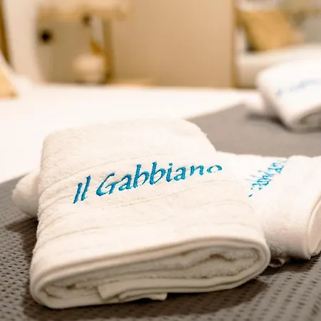 Il Gabbiano